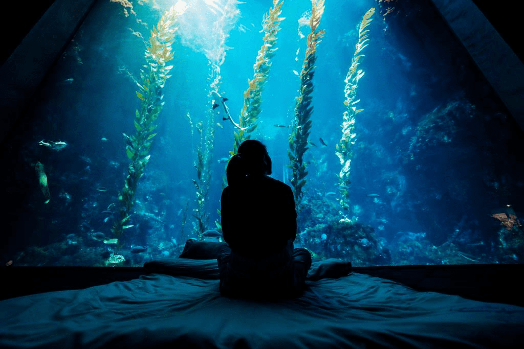 國立海洋生物博物館